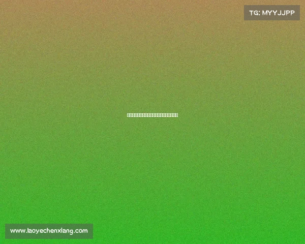 中国国家队赛事时间中国国家队赛事时间安排